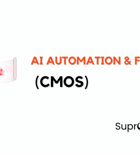 AI Automation & Fractional CMOs