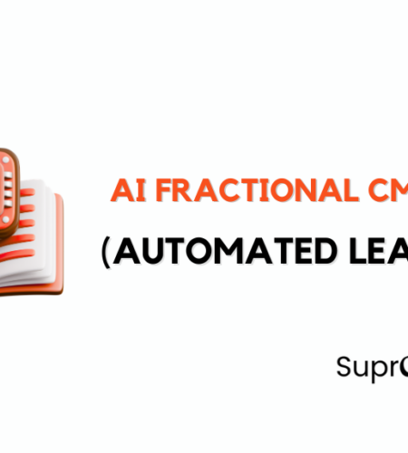 AI Fractional CMO Risks